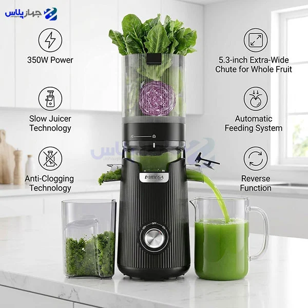 آبمیوه گیری مگامیت مدل Megameet MSJ217 1 آبمیوه گیری مگامیت مدل Megameet MSJ217