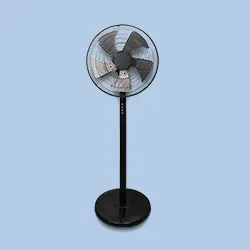 fan